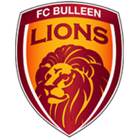 FC Bulleen Lions