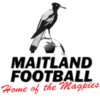 Maitland