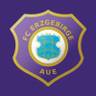 FC Erzgebirge Aue