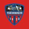Bursa Yildirimspor