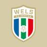 FC Hertha Wels