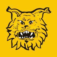 Ilves