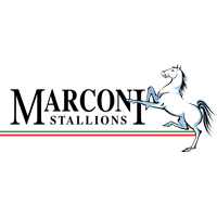 Marconi Stallions FC