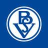 Bremer SV