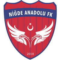 Niğde Anadolu FK