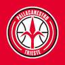 Pallacanestro Trieste
