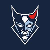 Blue Devils Weiden