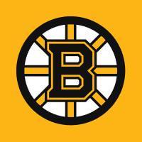 Boston Bruins