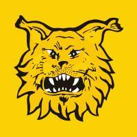 Ilves Tampere