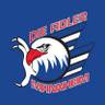 Adler Mannheim