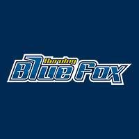 Herning Blue Fox