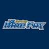 Herning Blue Fox