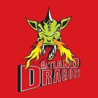 Artland Dragons