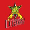 Artland Dragons
