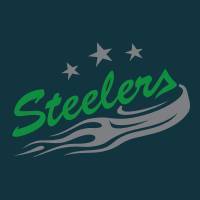 Bietigheim Steelers