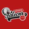 Nürnberg Falcons BC