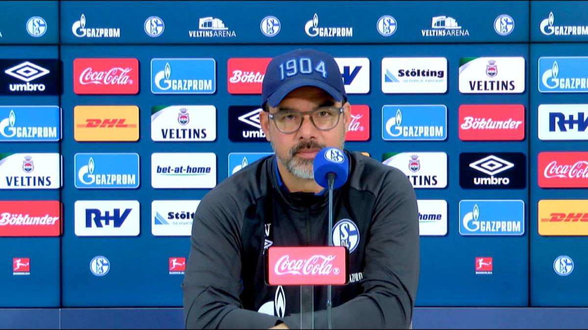 Schalke-Trainer David Wagner: "Wer das behauptet, hat nicht alle Latten am Zaun"