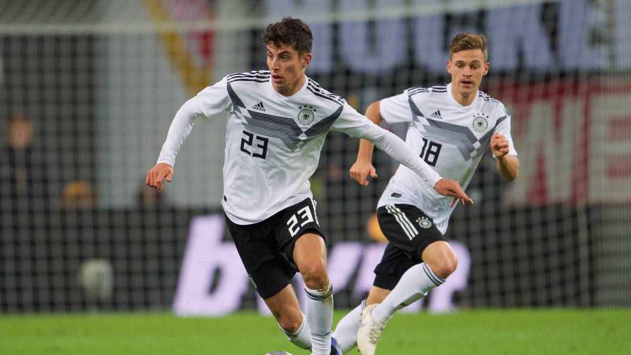 Das sind Löws Aufgaben bis zur EM