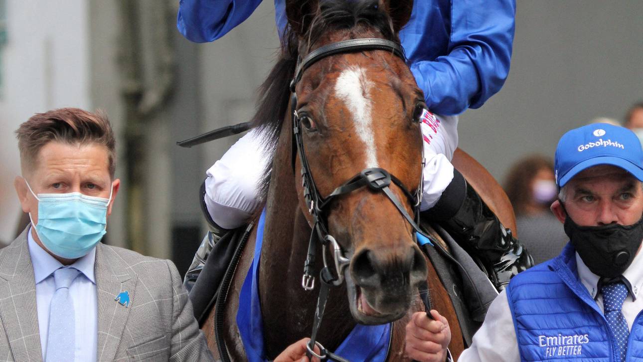 Top-Pferd Barney Roy startet in Köln