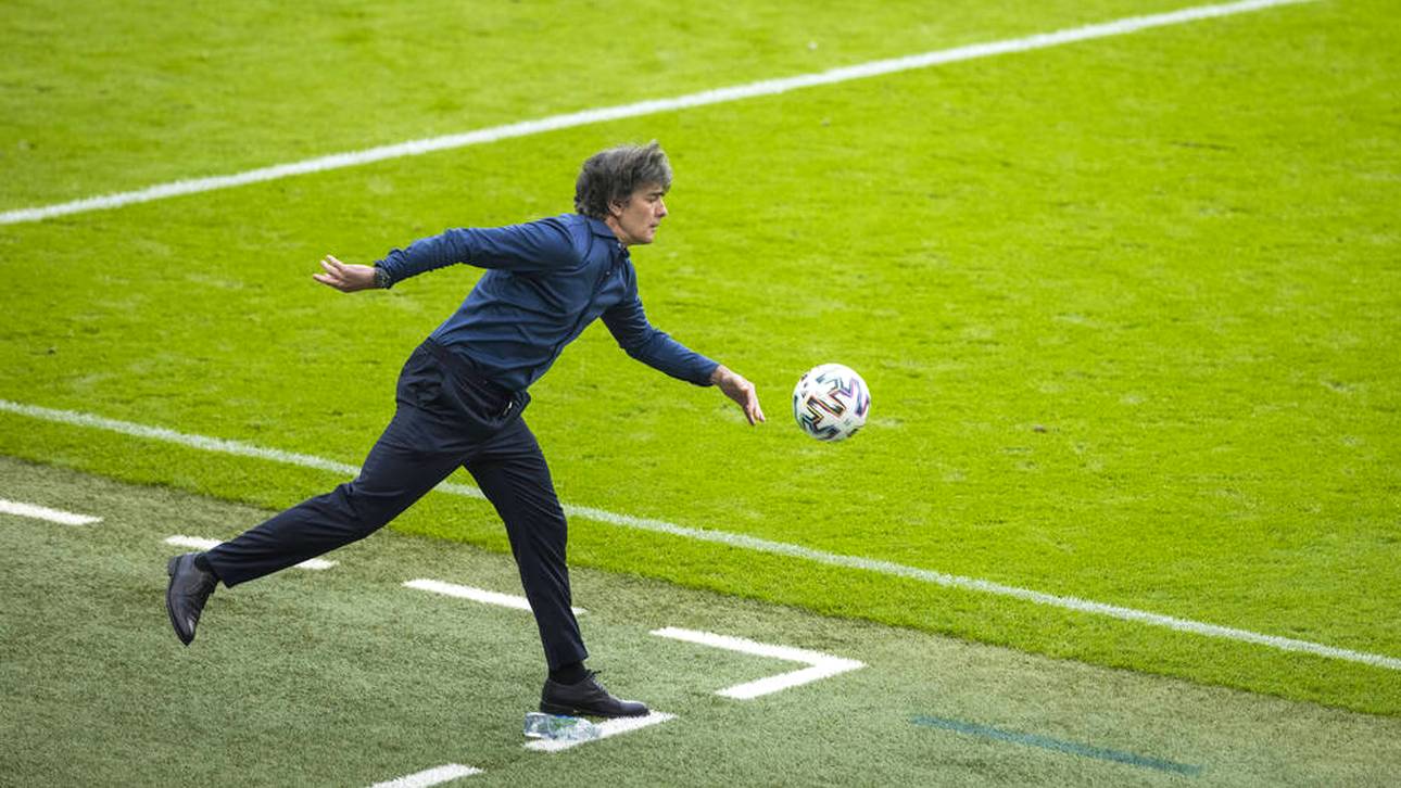 Das sind Löws Zukunftsoptionen