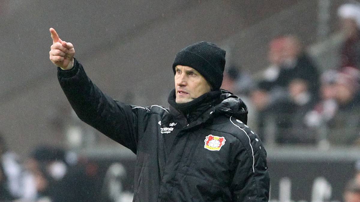 BAYER 04 LEVERKUSEN - 36: Der jetzige Bayer-Coach Peter Bosz beerbte im Dezember Heiko Herrlich, der wiederum seit Sommer 2017 im Amt war