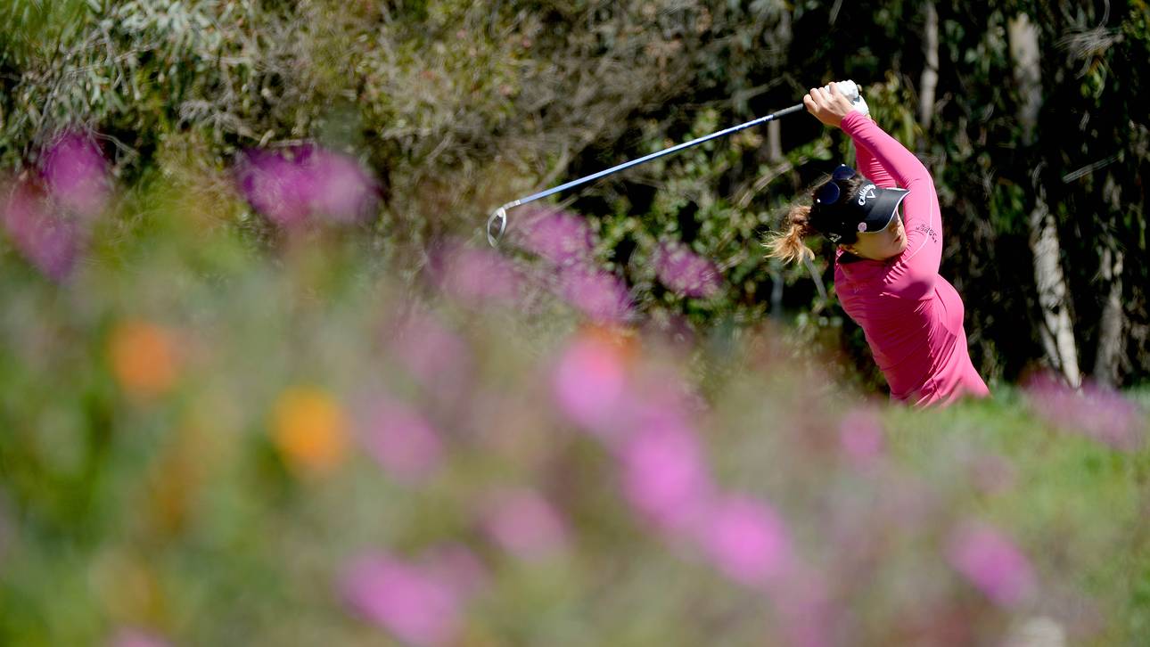 Masson und Gal in Carlsbad solide