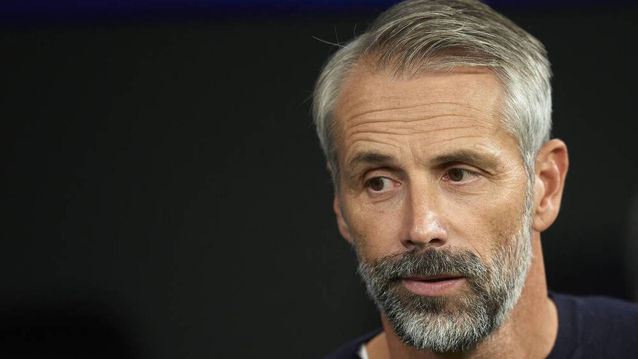 Brisante Rose-Rückkehr