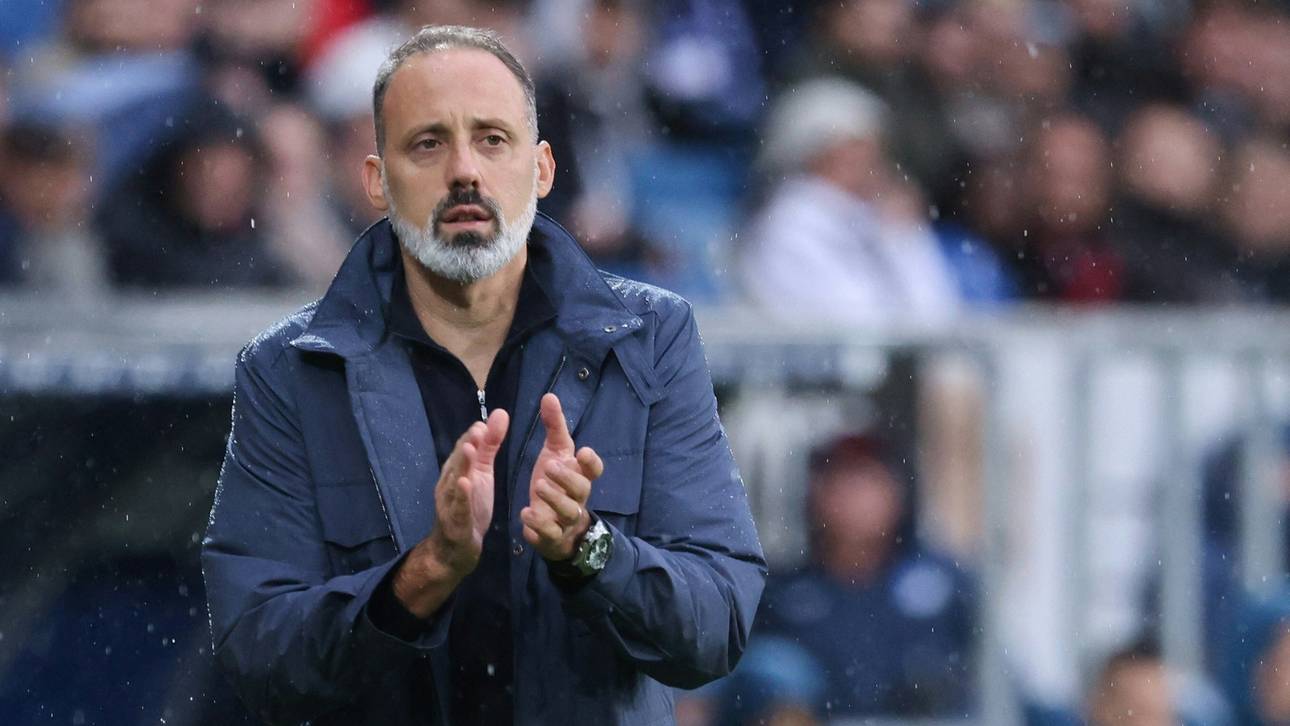 Matarazzo über Krise: „Bin hier richtig“