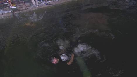 Die European Championships sind am Mittwoch in München feierlich eröffnet worden. Zehntausende Besucher waren in den Olympiapark von 1972 geströmt und verfolgten die Opening-Show.