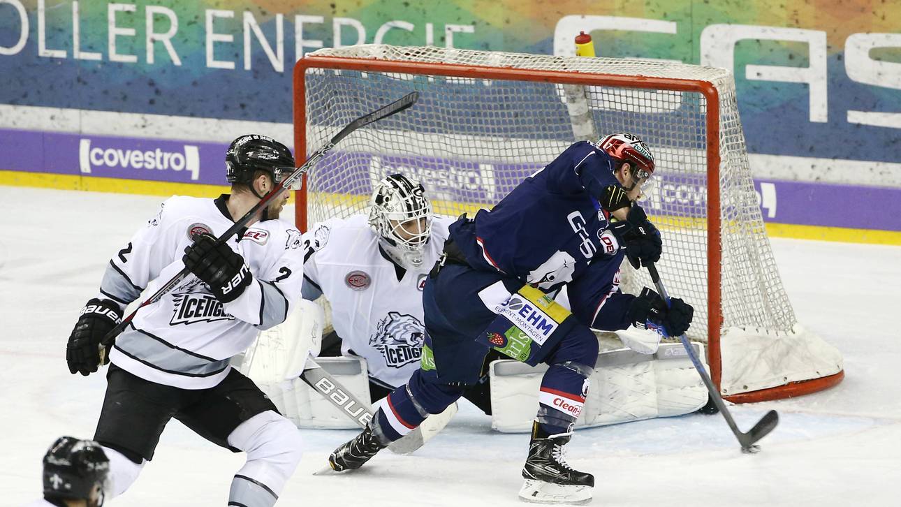 Eisbären demontieren Nürnberg