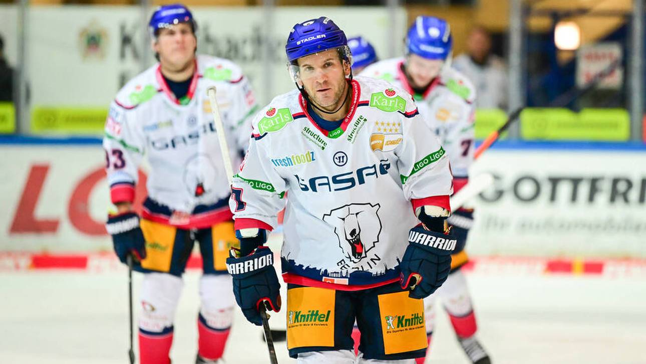 Der Eisbären-Alptraum will nicht enden