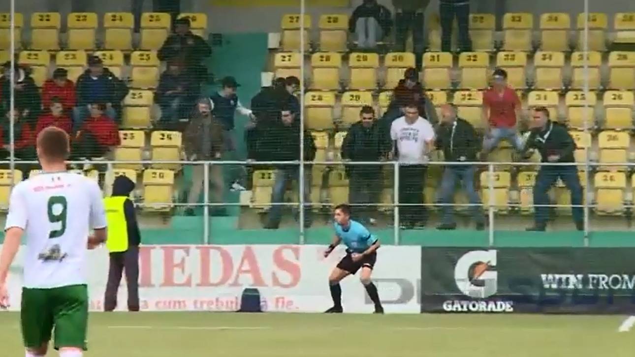 Fans veralbern Torrichter