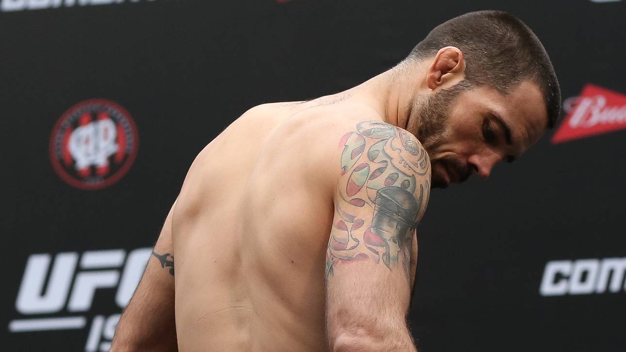 UFC-Kämpfer schlägt Fan im Stadion