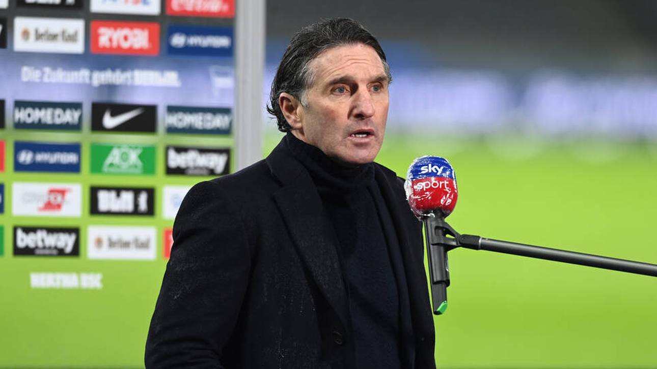 Hertha-Boss entschuldigt sich