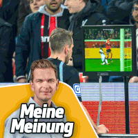 Im Spiel von Bayer Leverkusen gegen Bayern München spielt der Videobeweis eine Hauptrolle. Für SPORT1-Kolumnist Tobias Holtkamp ist das technische Hilfsmittel alternativlos.