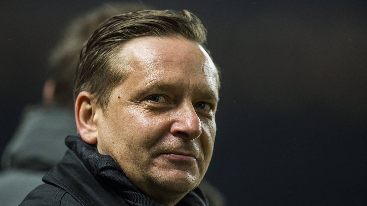 Hübner: Heldt-Engagement denkbar