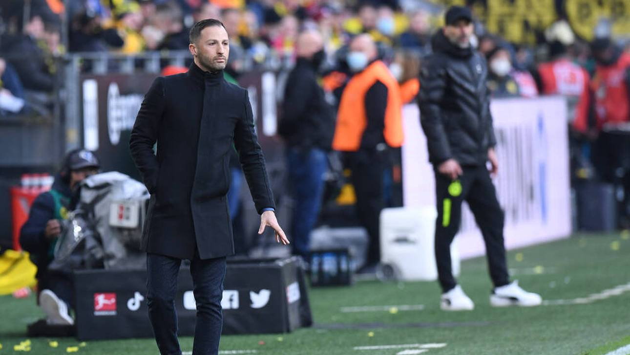 So sieht Tedesco die Rose-Entlassung