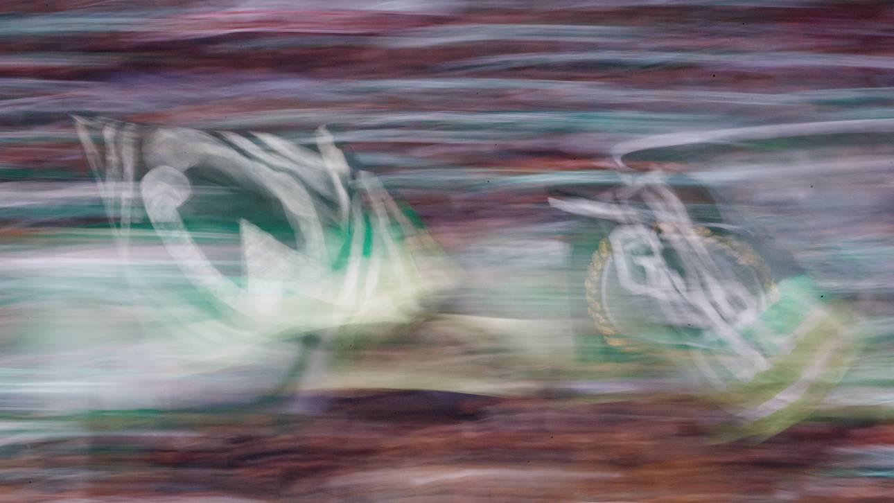 AfD und Werder? „Ein Widerspruch“