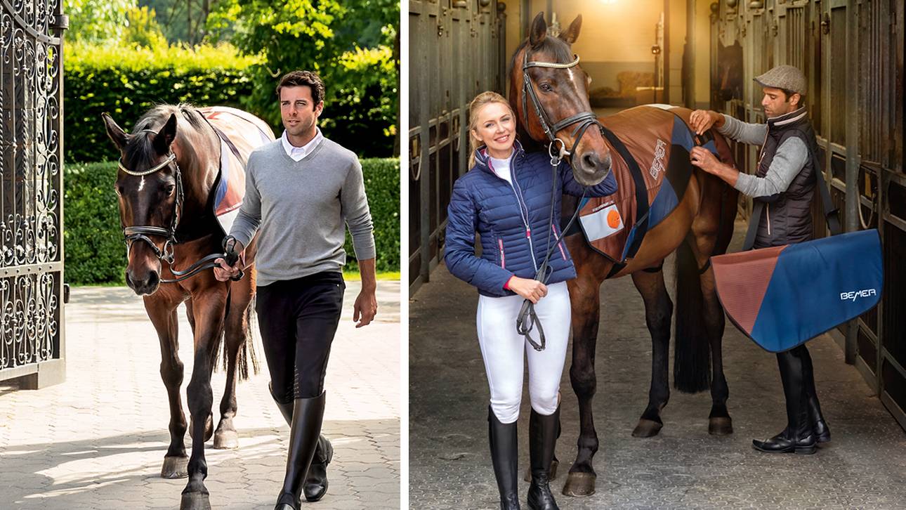 Regeneration und Leistungssteigerung beim Pferd