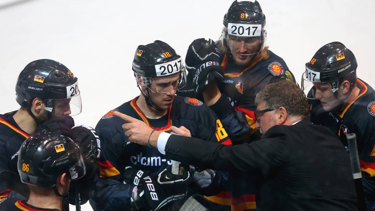 Deutschland Cup 2014-Pat Cortina-DEB-Team