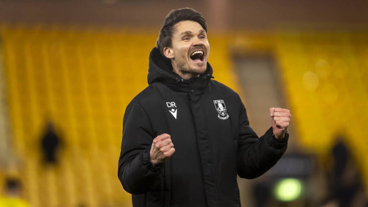 Danny Röhl führte Sheffield Wednesday zum Klassenerhalt