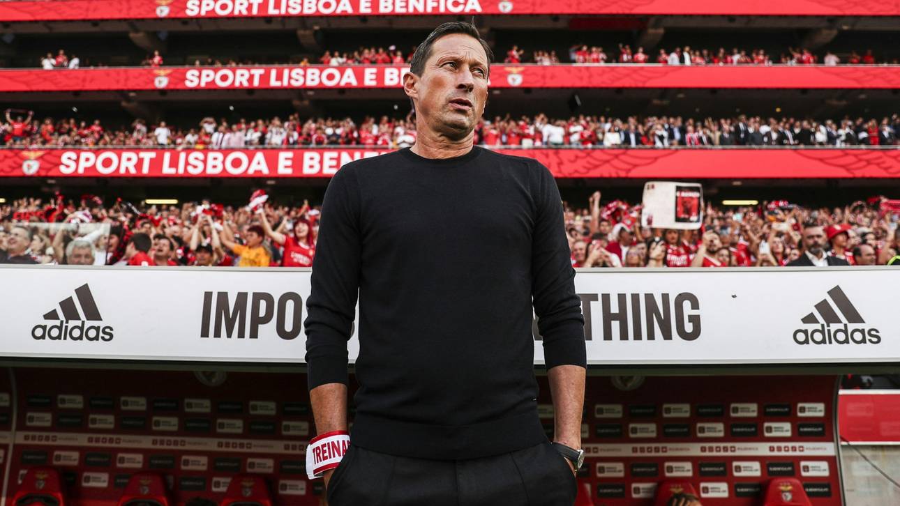 Roger Schmidt äußert sich zu Bayerns Neuzugang Min-Jae Kim