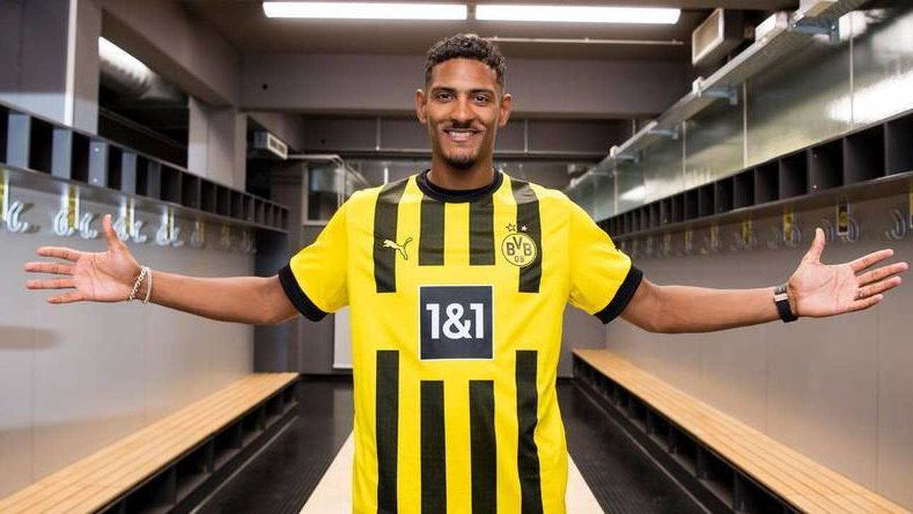 Haller fix! Das ist seine BVB-Nummer
