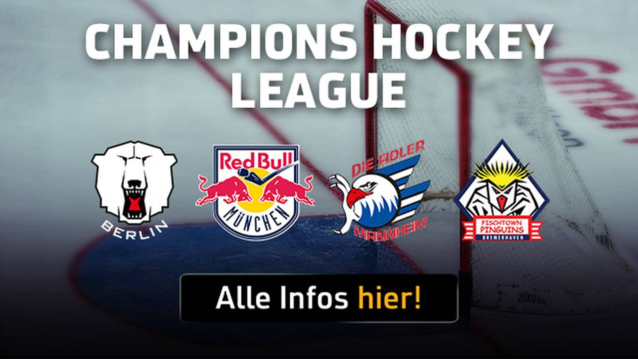 Pinguins und Eisbären unter Druck