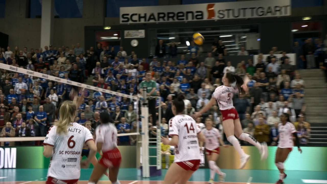 Volleyball Bundesliga: SC Potsdam schlägt Allianz MTV Stuttgart bei CL-Revanche
