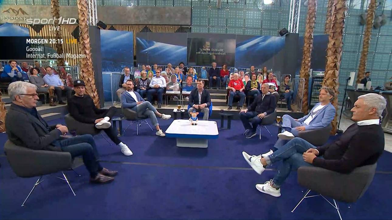 „Baum kommt in vermüllte Wohnung“