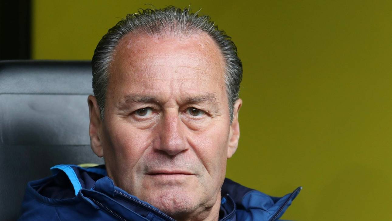 Schalke zieht die Reißleine: Baum weg, Stevens übernimmt