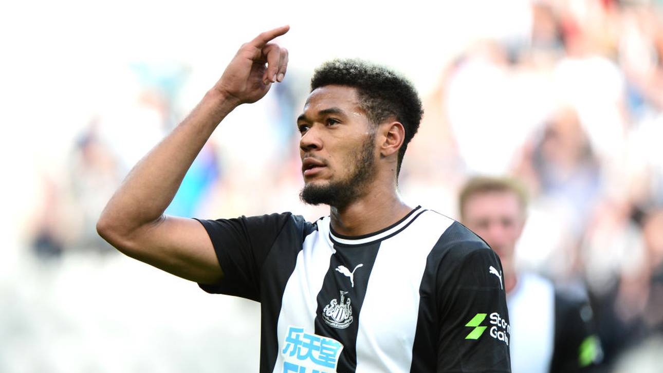 Joelinton spielte Fußball mit Kühen