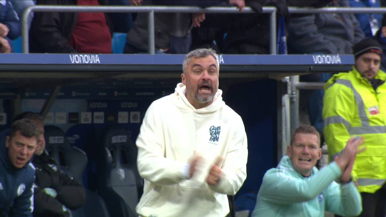 Bierverbot? Schalke sauer