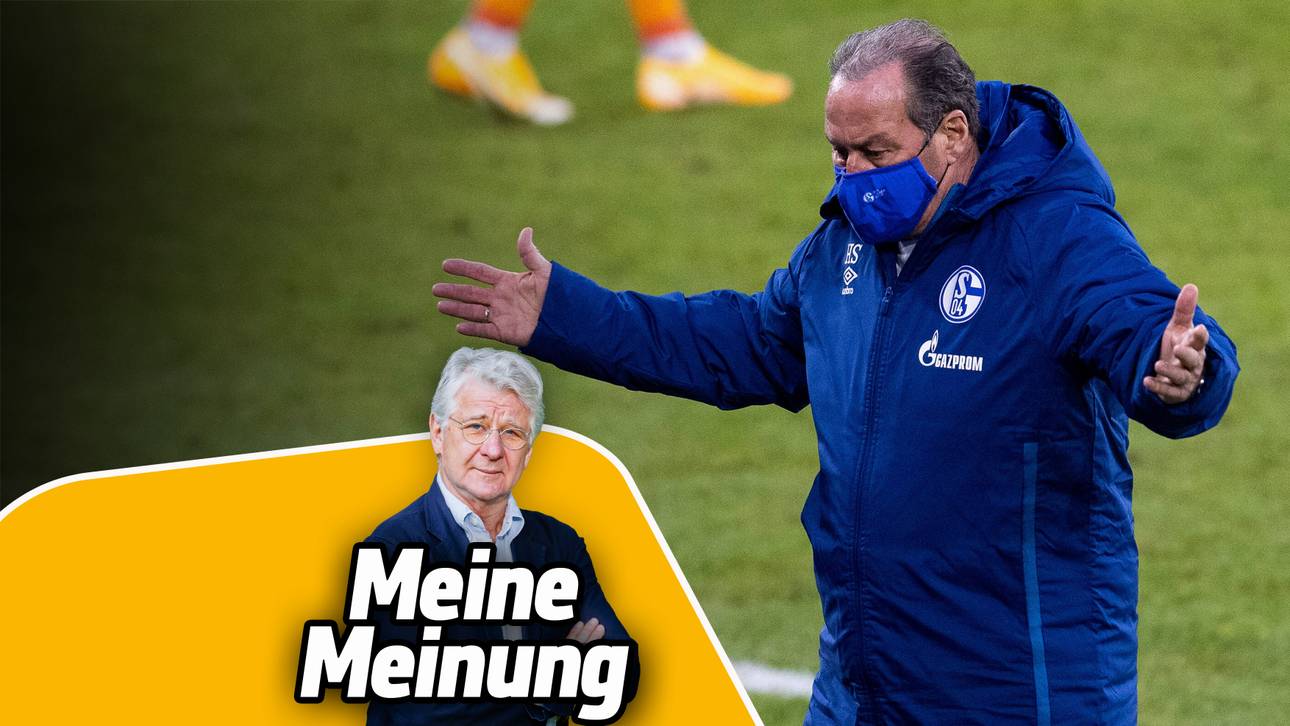 Reif über S04: Dann ist das Wahnsinn